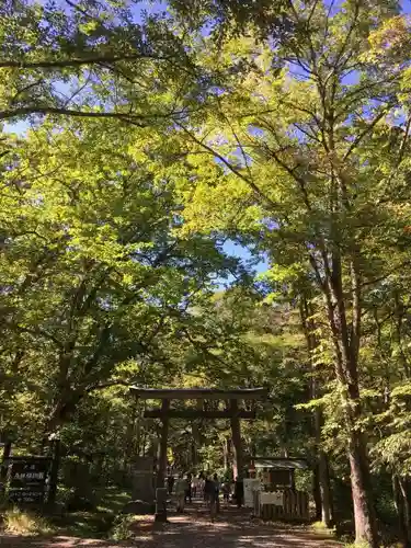 戸隠神社奥社の自然