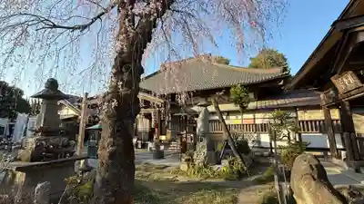 西光寺(埼玉県)