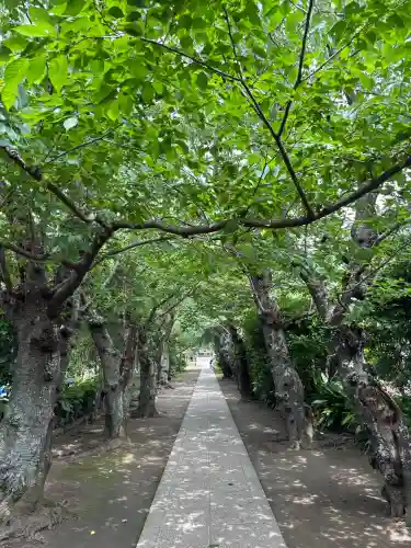 極楽寺（霊鷲山感應院極楽律寺）の景色