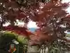 新倉富士浅間神社(山梨県)