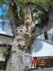 榴岡天満宮の建物その他