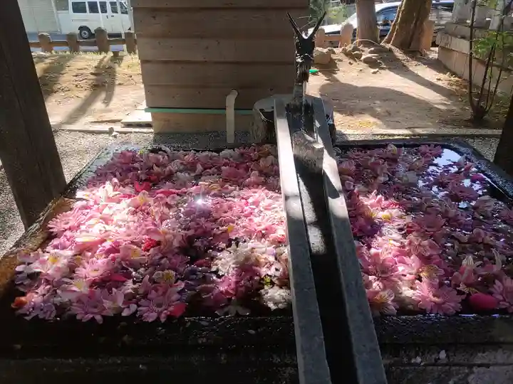 上野総社神社(群馬県)