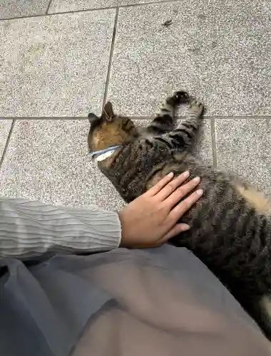 中尊寺(岩手県)