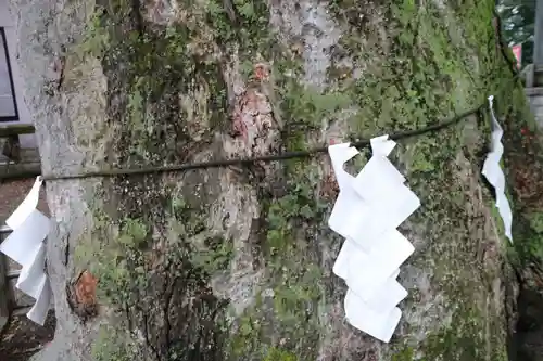 阿邪訶根神社の自然
