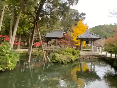 天台宗 五大山 白毫寺(兵庫県)