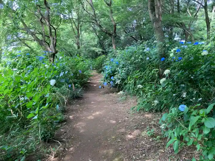 大宝八幡宮(茨城県)