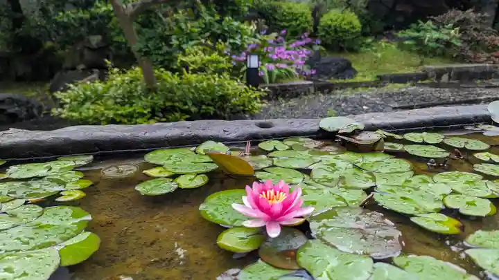 太融寺(大阪府)