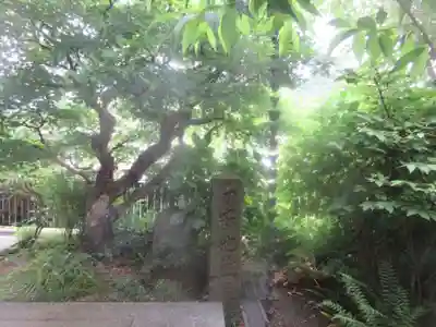 易往寺(神奈川県)