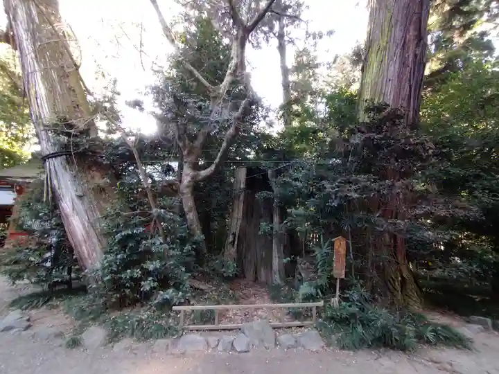 香取神宮(千葉県)