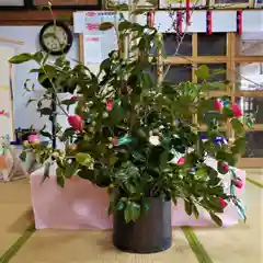 高司神社〜むすびの神の鎮まる社〜の芸術