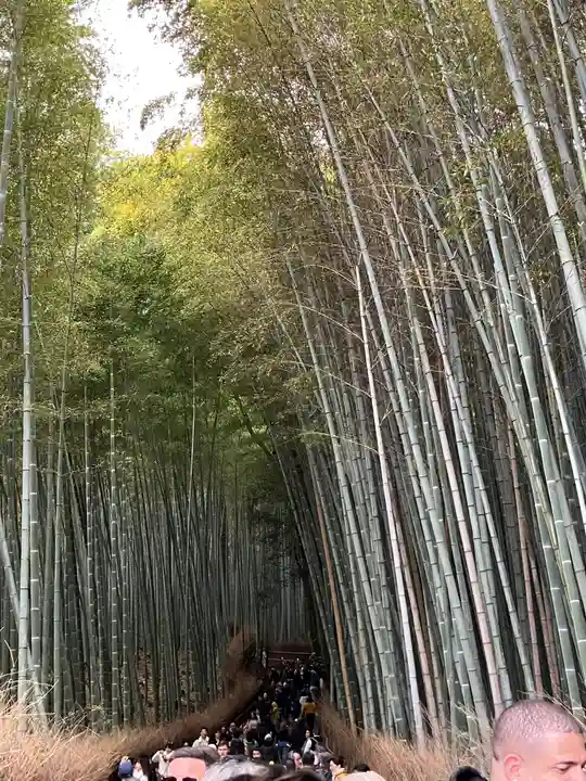 野宮神社(京都府)