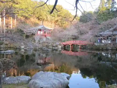 醍醐寺の庭園