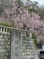根岸八幡神社の{uncategorized: "未分類", other: "その他", undefined: "問題あり", building: "その他建物", grave: "お墓", sacred_gate: "鳥居", guardian: "狛犬", statue: "像", buddha: "仏像", history: "歴史", nature: "自然", garden: "庭園", animal: "動物", pagoda: "塔", temizu: "手水舎", mountain_gate: "山門・神門", sanctuary: "本殿・本堂", subordinate: "末社・摂社", art: "芸術", scenery: "景色", jizo: "地蔵", ema: "絵馬", goshuin: "御朱印", omikuji: "おみくじ", items: "授与品その他", amulet: "お守り", goshuincho: "御朱印帳", eats: "食事", festival: "お祭り", votive_dance: "神楽", shichigosan: "七五三参", wedding: "結婚式", experience: "体験その他", initially: "初詣", around: "周辺", anti_infection: "感染症対策"}
