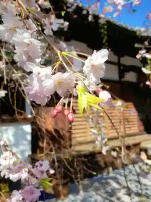 玄国寺(東京都)