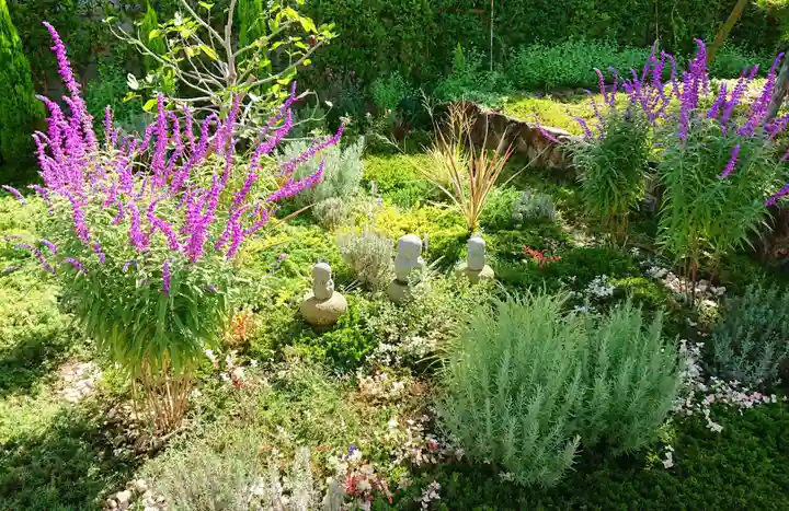 寿量山 速成寺の自然