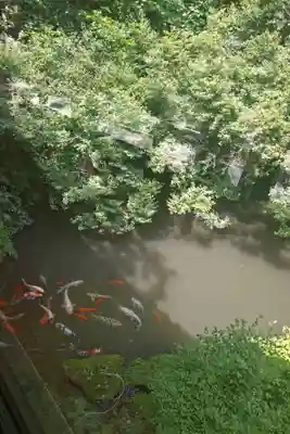 東光寺(岐阜県)