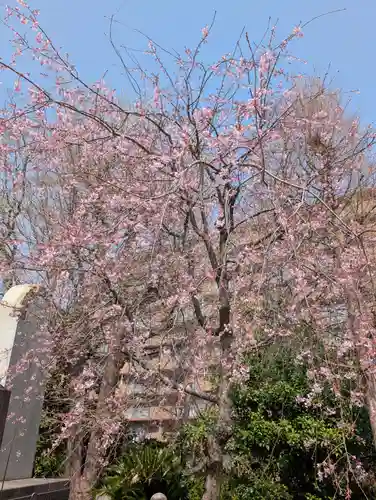 天徳寺(神奈川県)