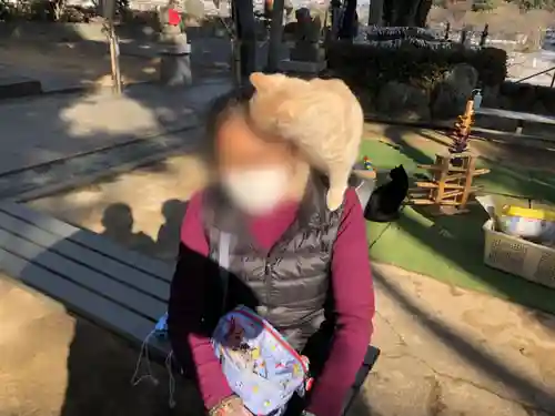 王子神社の動物