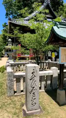 西法寺(愛媛県)