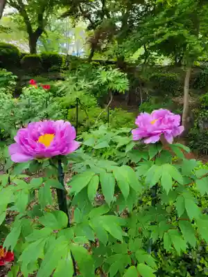 隆国寺(兵庫県)