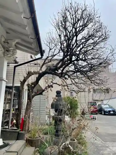 本光寺の{uncategorized: "未分類", other: "その他", undefined: "問題あり", building: "その他建物", grave: "お墓", sacred_gate: "鳥居", guardian: "狛犬", statue: "像", buddha: "仏像", history: "歴史", nature: "自然", garden: "庭園", animal: "動物", pagoda: "塔", temizu: "手水舎", mountain_gate: "山門・神門", sanctuary: "本殿・本堂", subordinate: "末社・摂社", art: "芸術", scenery: "景色", jizo: "地蔵", ema: "絵馬", goshuin: "御朱印", omikuji: "おみくじ", items: "授与品その他", amulet: "お守り", goshuincho: "御朱印帳", eats: "食事", festival: "お祭り", votive_dance: "神楽", shichigosan: "七五三参", wedding: "結婚式", experience: "体験その他", initially: "初詣", around: "周辺", anti_infection: "感染症対策"}