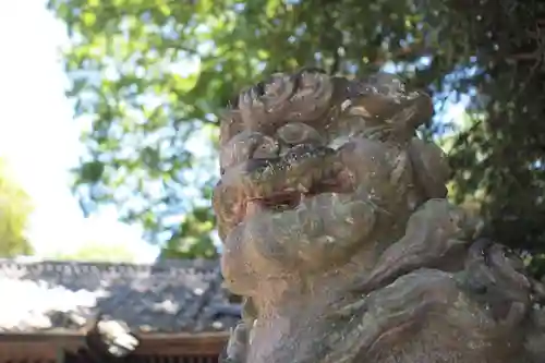 間々田八幡宮の狛犬