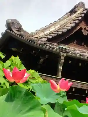 宗延寺(東京都)
