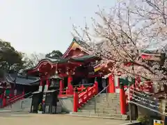 甚目寺の本殿