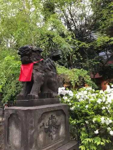 市谷亀岡八幡宮の狛犬