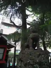 三島神社の狛犬