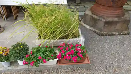 常陸第三宮　吉田神社の庭園