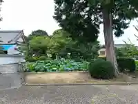 雲龍山 本證寺(愛知県)