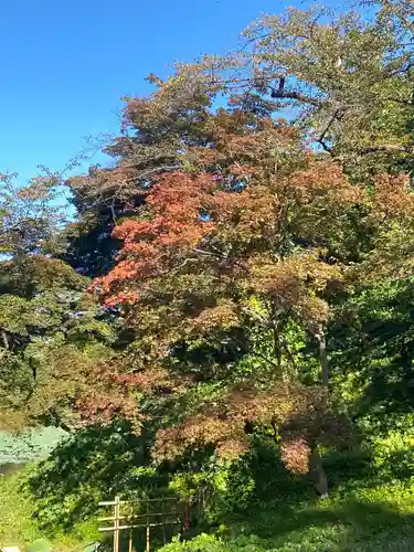 青森縣護國神社の自然
