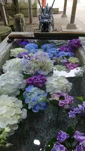 今宮神社の手水舎