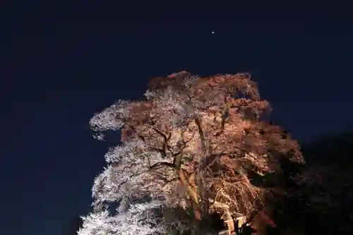 天神さまの祠の景色