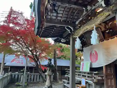 湯泉神社(兵庫県)
