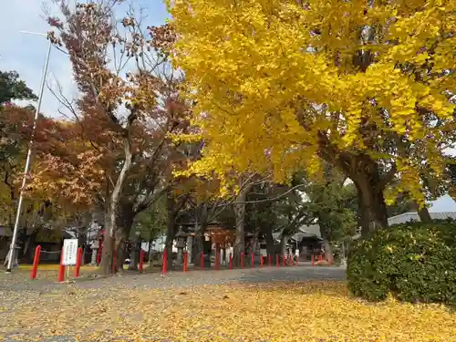 美奈宜神社(福岡県)