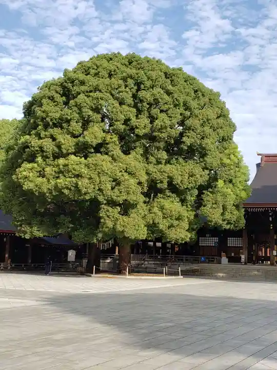 明治神宮の自然