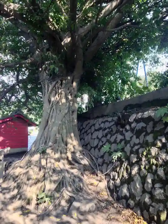 腹五社神社(鹿児島県)