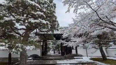 圓光寺(京都府)