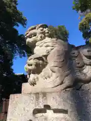 八雲氷川神社の狛犬