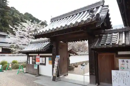 金剛寺(大阪府)