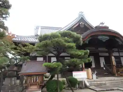 清浄華院の本殿・本堂