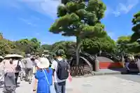鶴岡八幡宮の庭園