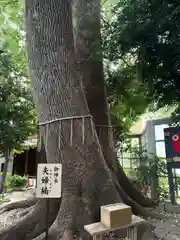 鳩ヶ谷氷川神社(埼玉県)