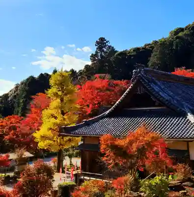 普門寺(切り絵御朱印発祥の寺)(愛知県)