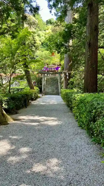 高鴨神社(奈良県)