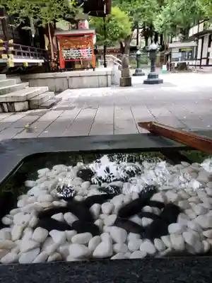 熊野神社の手水舎