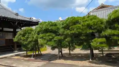 称念寺(京都府)