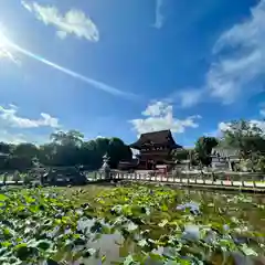 伊賀八幡宮の建物その他